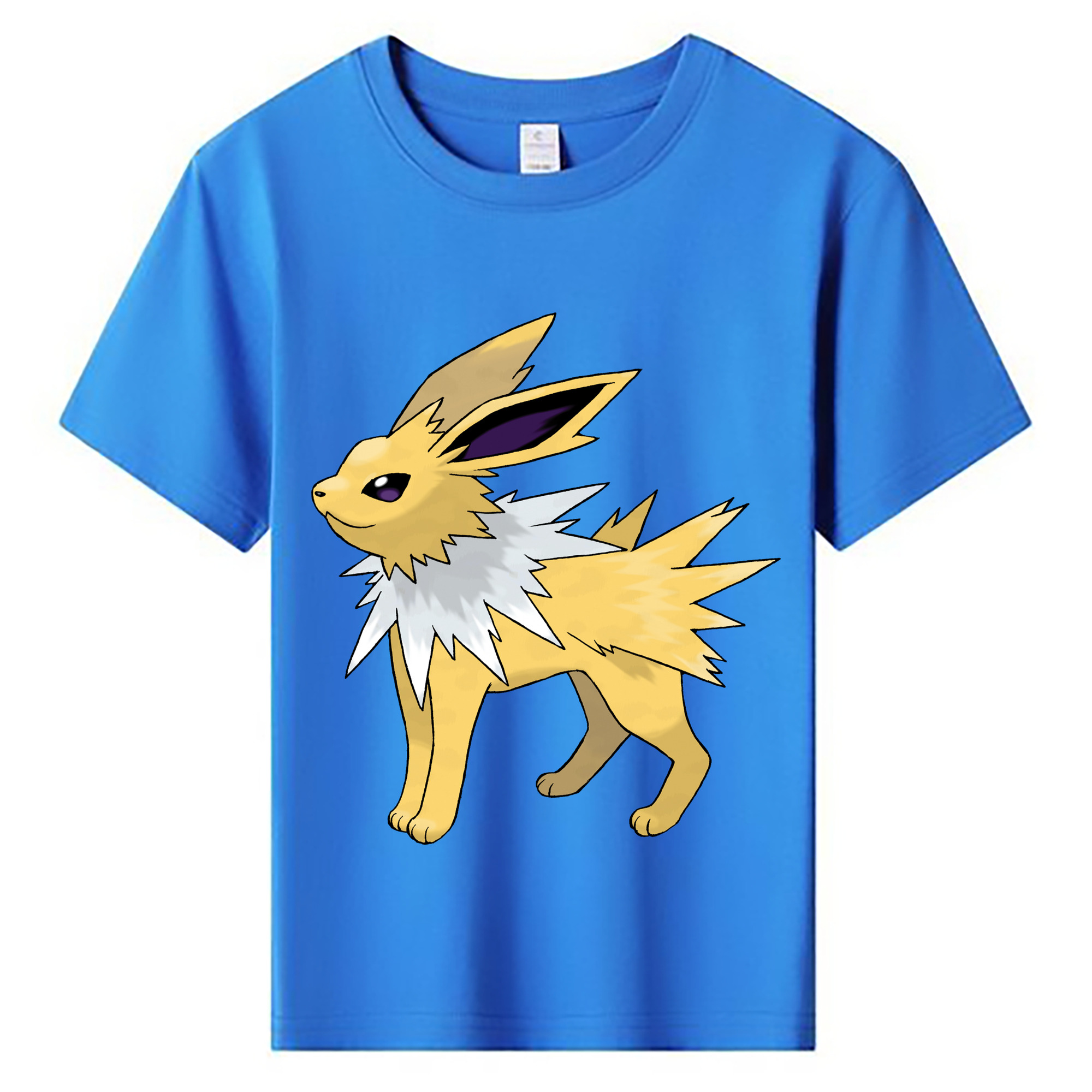（画像用） ポケットモンスター Pokémon 綿100％キッズTシャツ（フロントプリント）
